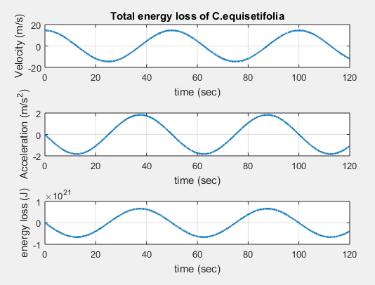 Energy absorbed by Casuarina equisetifolia