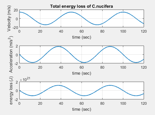 Energy absorbed by Cocos nucifera