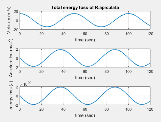 Energy absorbed by Rhizophora apiculata