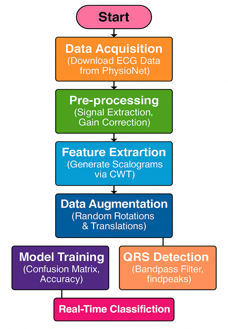 ECG ML workflow preview