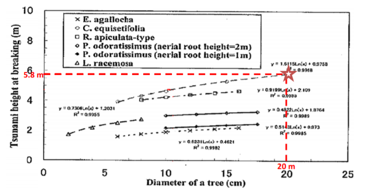 Tree diameter and spacing relationship to tsunami height
